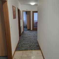 Komárov Apartment 2