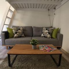 STYLISH FLAT IN PRAGUE - Vinohrady