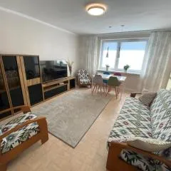 Kaktusik