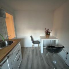 Green Grass Cut Apartment