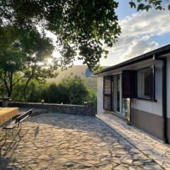 Holiday house with a swimming pool Grubine, Zagora - 22263