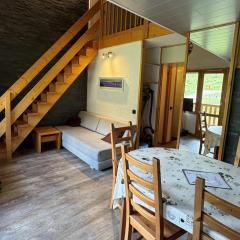 Spacieux appt 5 pers avec mezzanine, accès direct aux pistes - FR-1-181-2063