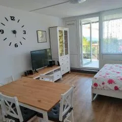 Apartmán Petr Sankt Englmar, Bayerische Wald