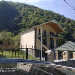 Qax İlisu