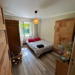 Room in Villa Švarcs & Frīda