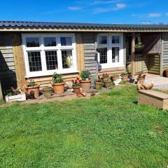 Puddle Duck Peeps Out Chalet