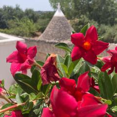 Casetta Monti del Duca