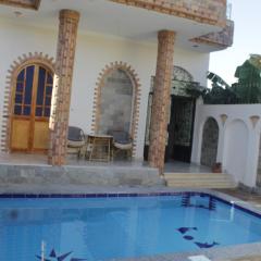 Nour House