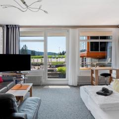 Fewo Berggipfel am Feldberg