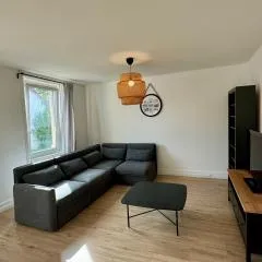 Charmant Appartement Mulhouse