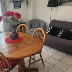 House with garden and barbecue in Cabourg