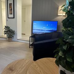 Sentral leilighet med 3 soverom og kjøkken - Mare