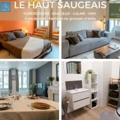 Hypercentre, spacieux, authentique - Le haut Saugeais