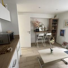 Le Patio de la Tour ! hotel 1 chambre avec SAUNA PRIVE sur le remblai