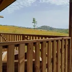 Glamping Podere Angiotto LODGE MONTIANO