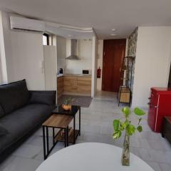 Apartamento casa Carmen en el centro