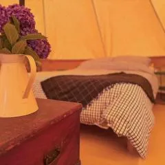 Cliff Head Hotel photo 5