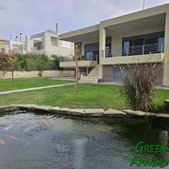 Green Bay Arachovitika