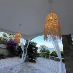 Rosa's House
