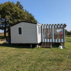 Mobil home 4x8m et terrasse 18m2
