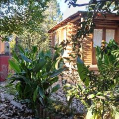 Cabaña Artemisa Menta