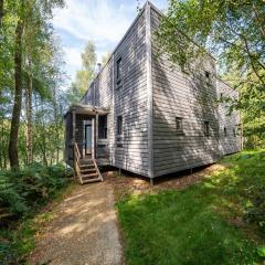 Spacious Forestside Mansion