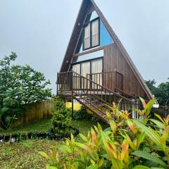 Jmount Vagamon Resort