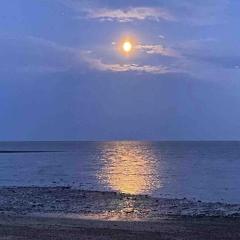 Mersea Island Retreat - 4 Bedroom House