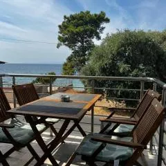 Nissos 2 apartments thassos