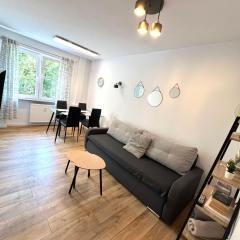 Apartament Gallusa