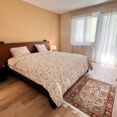 Bright Apartment in Oerlikon-Zurich 102-16