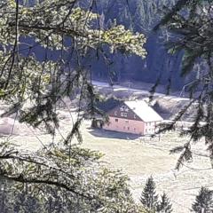 Domaine Des Hauts Viaux