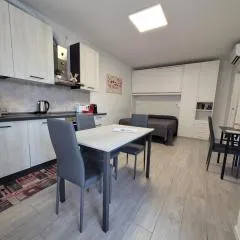 Le Rondini