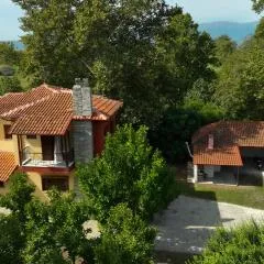 Nikola's Garden
