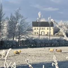 Arney Lodge Farm