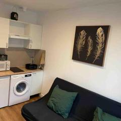 Studio vue lac centre ville