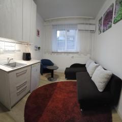 Kauno apartamentai 1 bed room