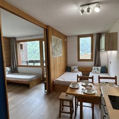Studio divisible avec balcon, proche des pistes, animaux admis - FR-1-355-161