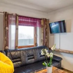Apart Sunnseitn Zillertal