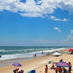 Blue Dolphin Seaview