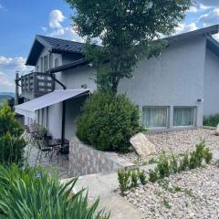 Cabana Talea Residence Prahova