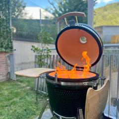 Mountain View with Terrace