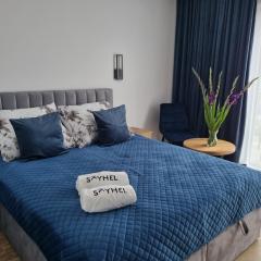 SkyHel Apartament 202