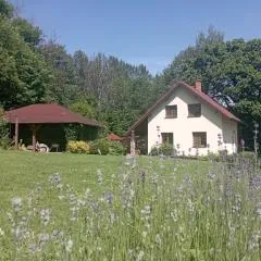 Domek v osadě Kladiny
