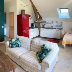 Superbe T2 dans grange, calme absolu, Pau à 10min