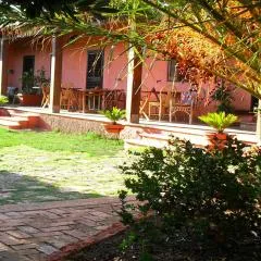 Il Vigneto B&B