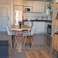 Depto 1 dormitorio totalmente equipado