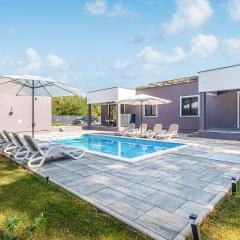 Amazing Apartment In Nedescina