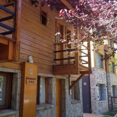 Maitenes - Andarlibre