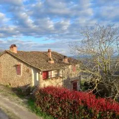 Il Rustico Vicopisano